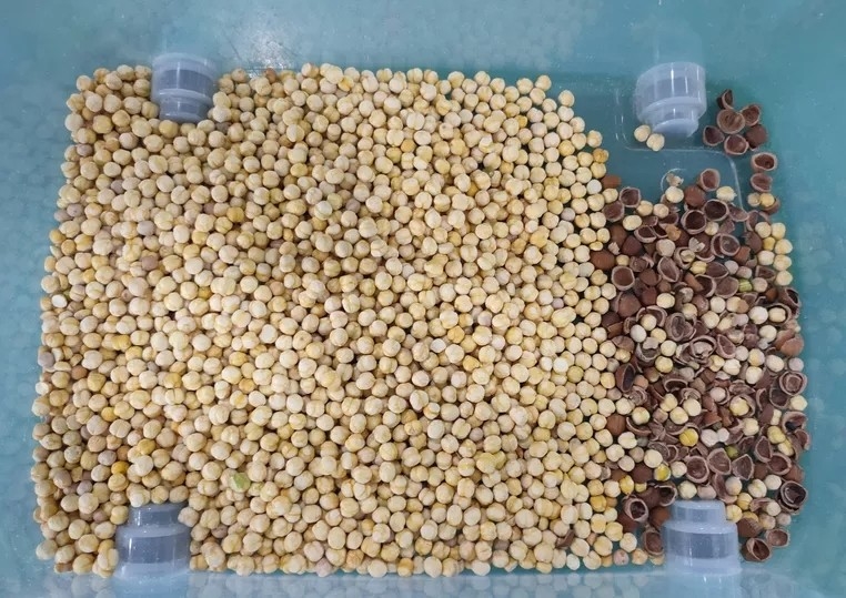 Alta precisione della macchina del selezionatore di Paddy Corn Soybean Grain Color del grano