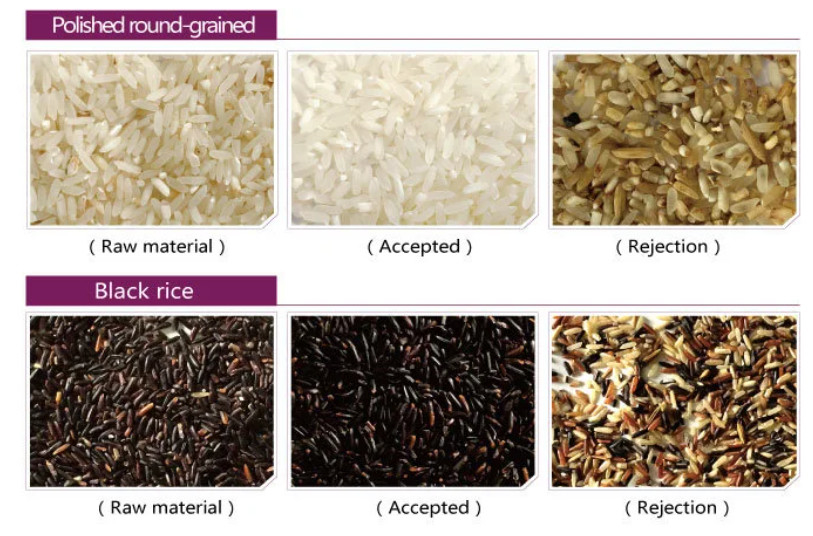 Macchina multifunzionale di Selctor del selezionatore di colore del grano del riso di 6 scivoli che ordina per i cereali del riso