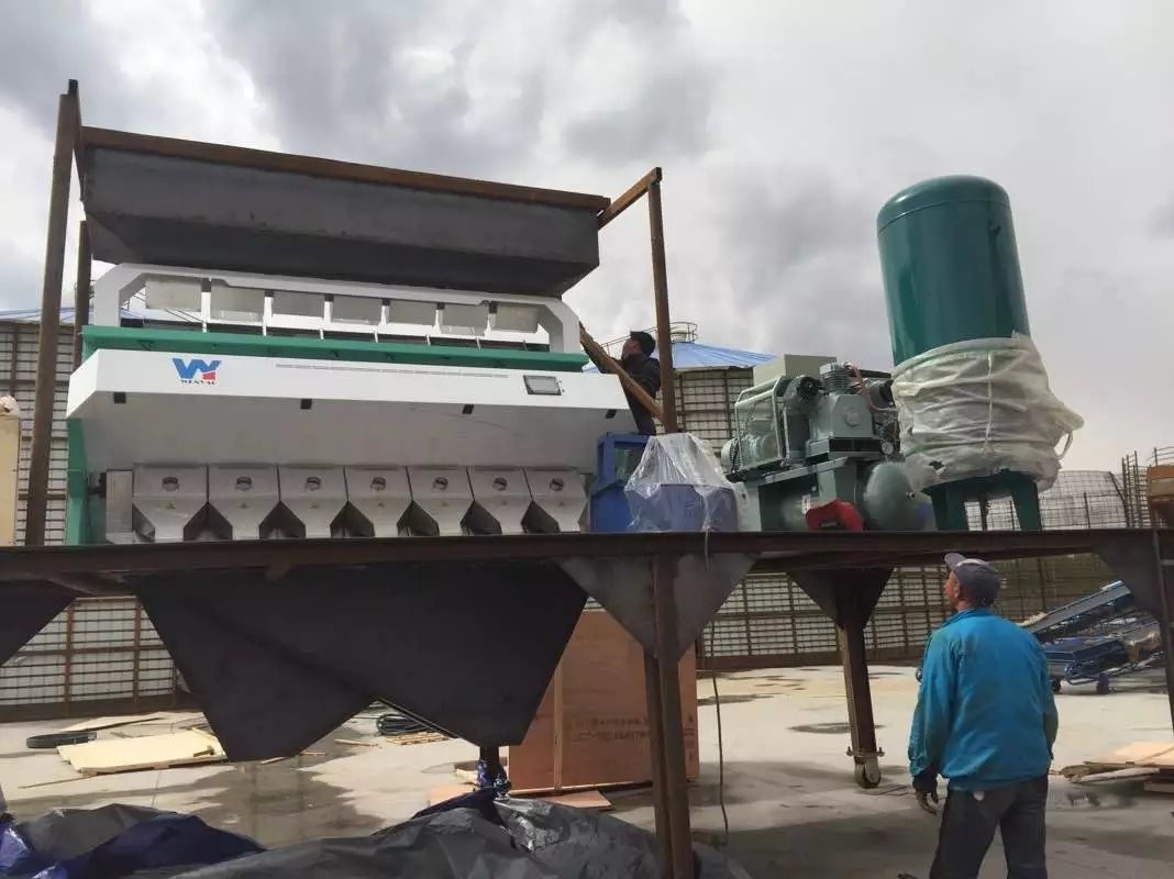 Selezionatore ottico di colore del CCD dei fiocchi di plastica del LDPE dell'HDPE dell'ABS dell'ANIMALE DOMESTICO del PE del PVC dei pp intelligente