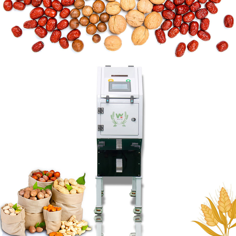 Mini Color Sorter For Macadamia automatico Tiger Nut