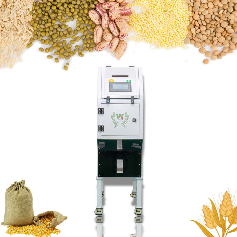 Mini Color Sorter For Macadamia automatico Tiger Nut