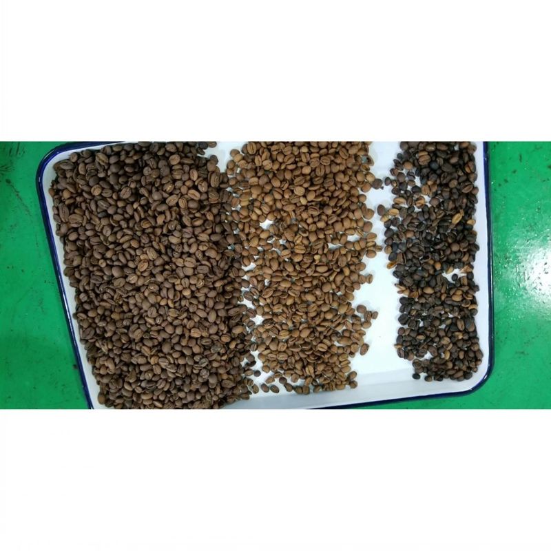 Selezionatrice automatica per chicchi di caffè Selezionatrice per chicchi di caffè Separatore multifunzionale per semi di soia Lenticchie Ceci