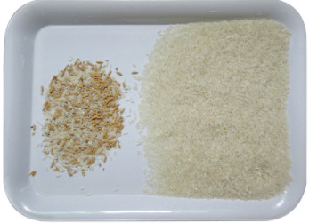 Macchina del selezionatore di colore di WENYAO Peeled Peanuts Nuts Rice con il CCD LED automaticamente