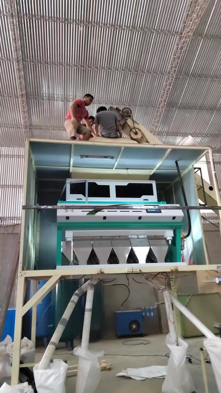 Accuratezza di plastica della macchina 99,9% del selezionatore di colore dell'ABS del LDPE pp dell'HDPE di Wenyao