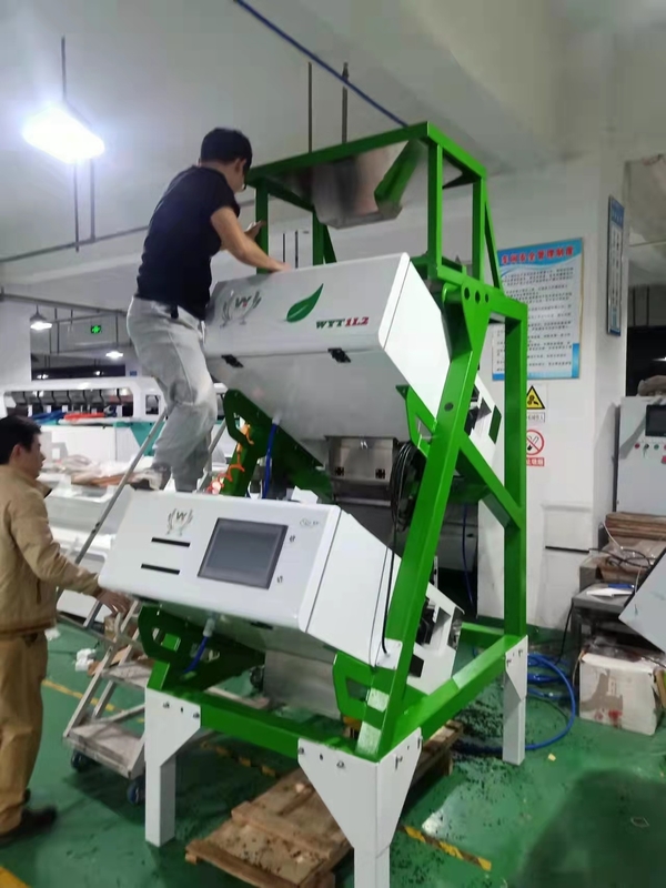 Accuratezza rossa verde nera di Mini Tea Colour Sorter Machine 99,99%