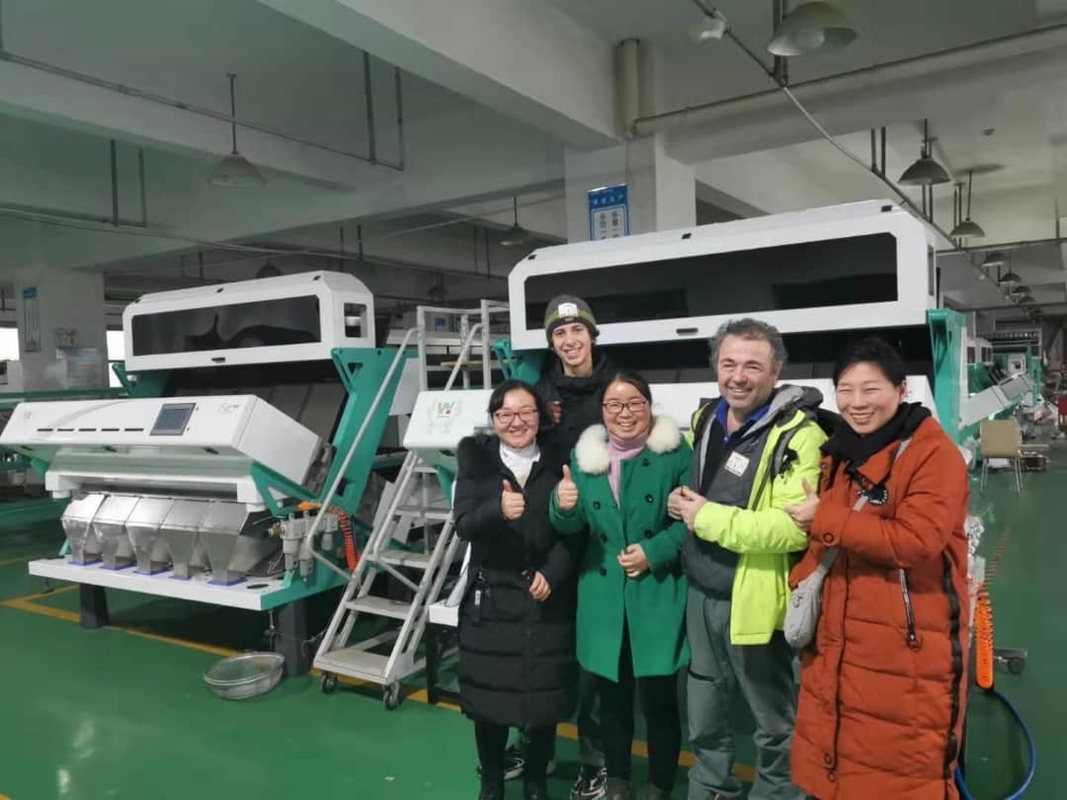 CE del CE ottico ISO9001 del CCD di Paddy Grain Color Sorter 8 del grano astuto degli scivoli