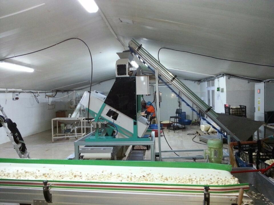 CE del CE ottico ISO9001 del CCD di Paddy Grain Color Sorter 8 del grano astuto degli scivoli