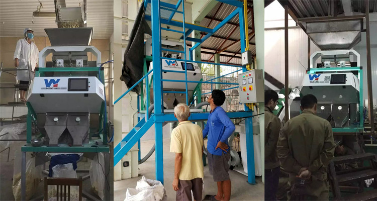 CE del CE ottico ISO9001 del CCD di Paddy Grain Color Sorter 8 del grano astuto degli scivoli
