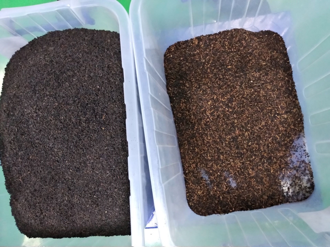 Wenyao CCD macchina di classificazione del tè per il tè nero macchina di classificazione del colore del tè verde rimuovendo l'impurità dei rami delle foglie di tè