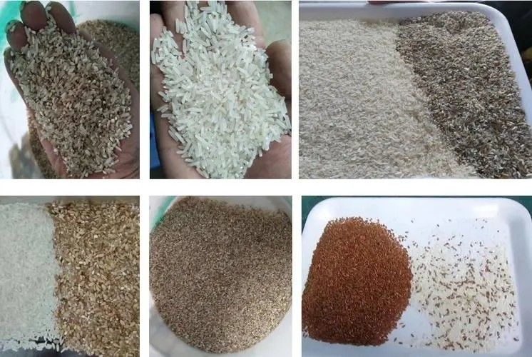 Vaglio scottato a grana lunga di colore di alta precisione della macchina del selezionatore di colore del riso