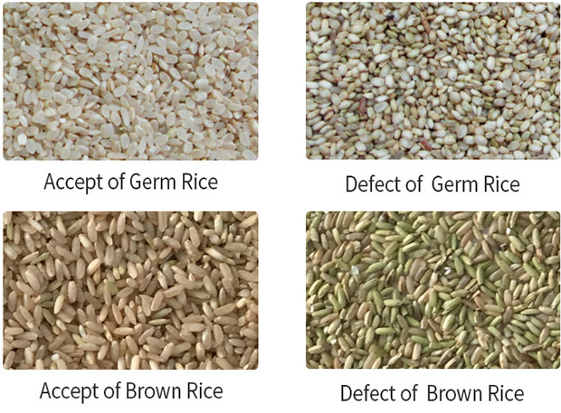 220V / 50HZ Rice Color Sorting Machine con materiali in acciaio inossidabile Carble Steel