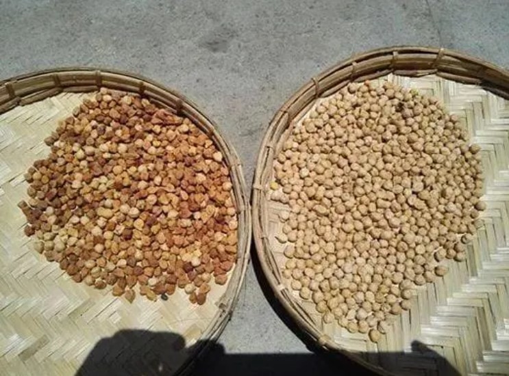Vaglio del riso della soia del separatore del CCD di Bean Nuts Color Sorter AI del caffè