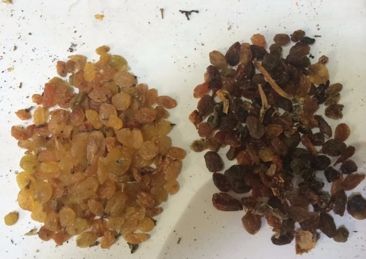 Vaglio di colore del cardamomo di Olive Color Separator Roasted Nut dell'arachide del cece della noce del cereale