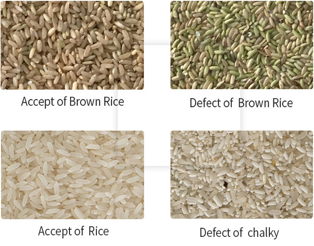 Selezionatore economico ottico di colore del riso del vaglio di colore di pulizia del riso del CCD di Wenyao