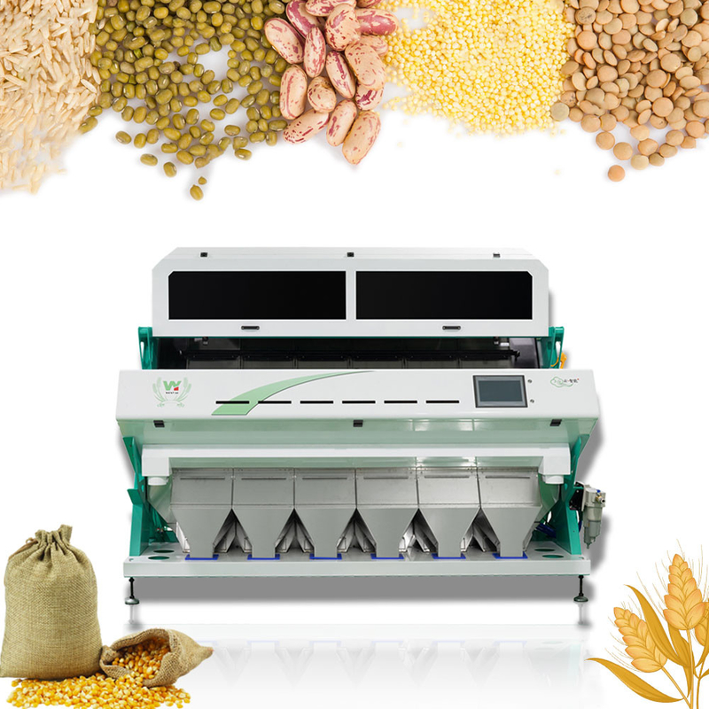 Cina Miglior Sortitore di colori multifunzionale di semi di zucca Color Sorting Machine Color Sorting Seeds
