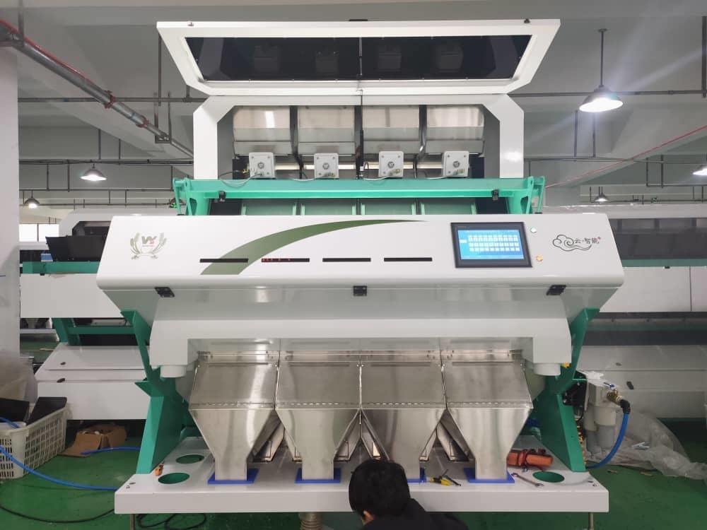 2025 Piccolo Ore Pietre Minerali Quarzo Sabbie Color Sorting Machine Ore Mineral Belt Color Sorting Machine In vendita