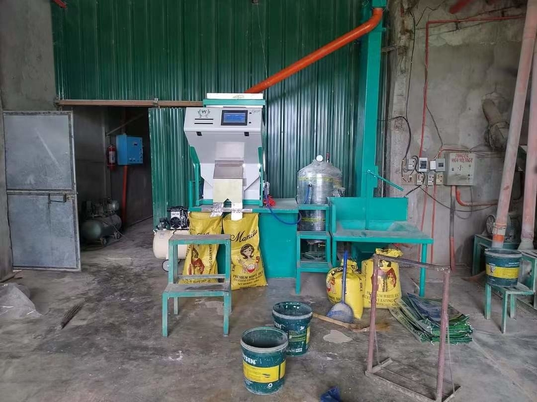 Macchina ottica per la selezione del colore del riso rosso nero - 280 kg 2 anni