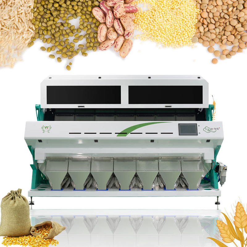 2022 Full Color RGB R D Color Sorting Equipment for Rice Beans Nuts Seeds Plastics and Grains Giappone Toshiba Sensore CCD