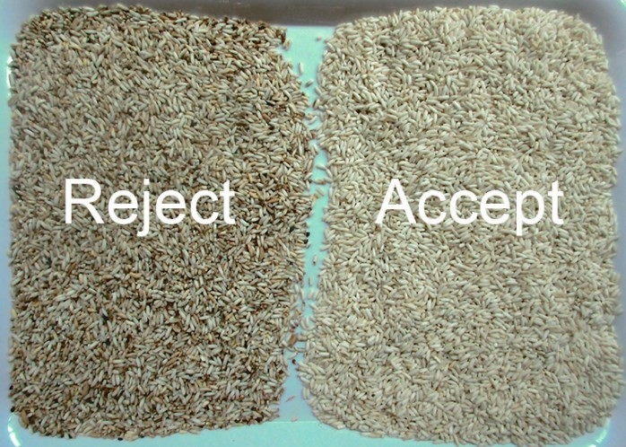 CCD & RGB Optical Rice Color Sorter Rice Grading Machine