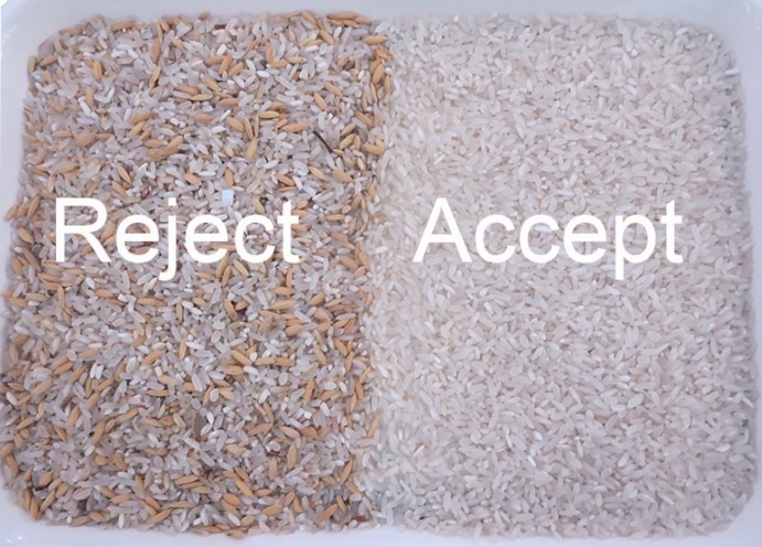 CCD & RGB Optical Rice Color Sorter Rice Grading Machine