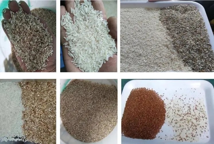 CCD & RGB Optical Rice Color Sorter Rice Grading Machine