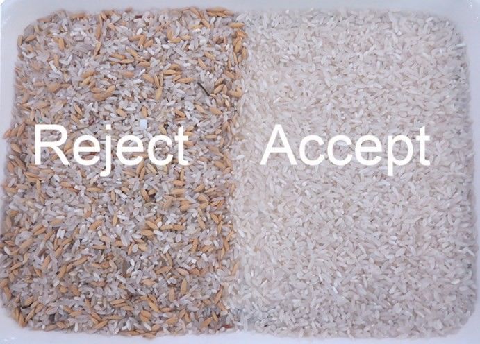 WENYAO Selezione Fine con Rilevamento Multi-Colore per Operazioni di Selezione del Riso Selezionatrice Ottica Riso Parboiled Grano Lungo