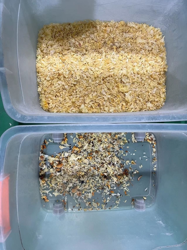 Macchina per la selezione del colore dei semi di cotone Gaur Gum Tea Raisin Color Sorting Machine