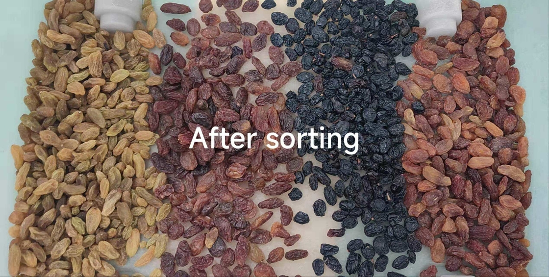 CCD ad alta frequenza Cereali pulitore selezionatore di colori Separatore di sesamo economico