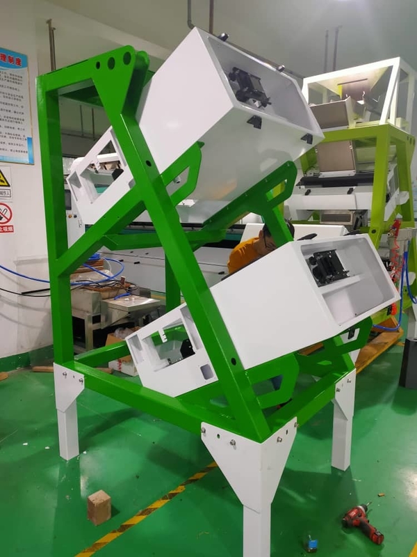 Macchina di selezione del colore del tè ad alta precisione Soluzione di selezione ottica Rimuovi rapidamente i gambi del tè Semi