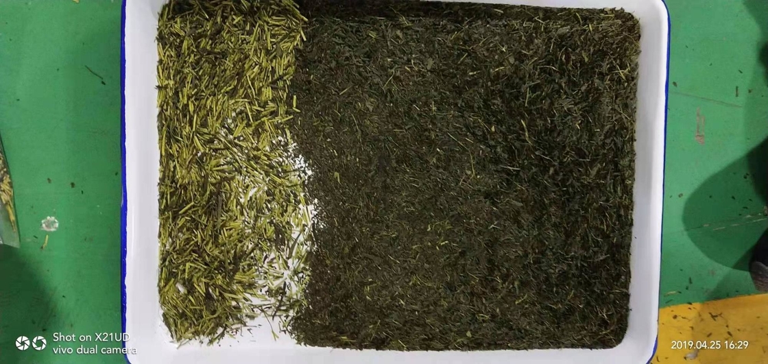 Macchina di selezione del colore del tè ad alta precisione Soluzione di selezione ottica Rimuovi rapidamente i gambi del tè Semi