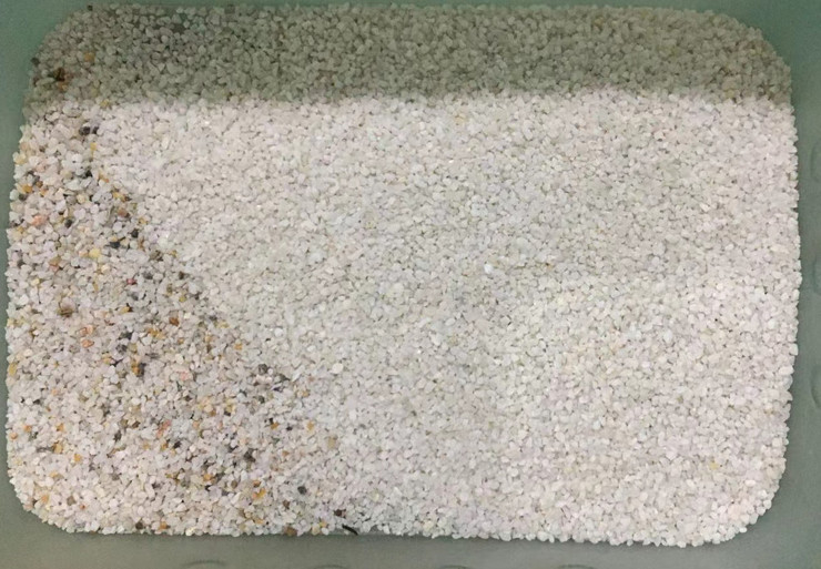 Intelligent Salt Color Sorting Machine Clean Select Per impianto di lavorazione del sale