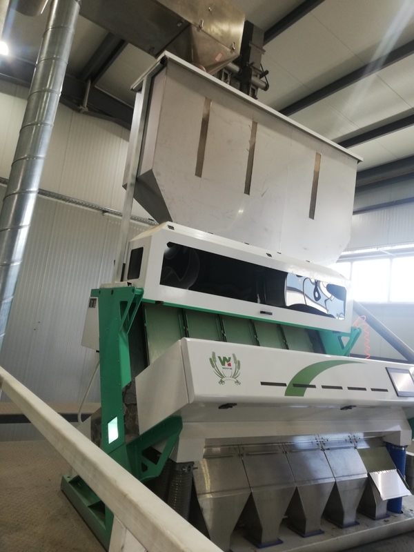Macadamia Nut Hazelnut Color Sorting Machine e Hazelnut Color Separator Machine per separare il nocciolo e la conchiglia di hazelnut