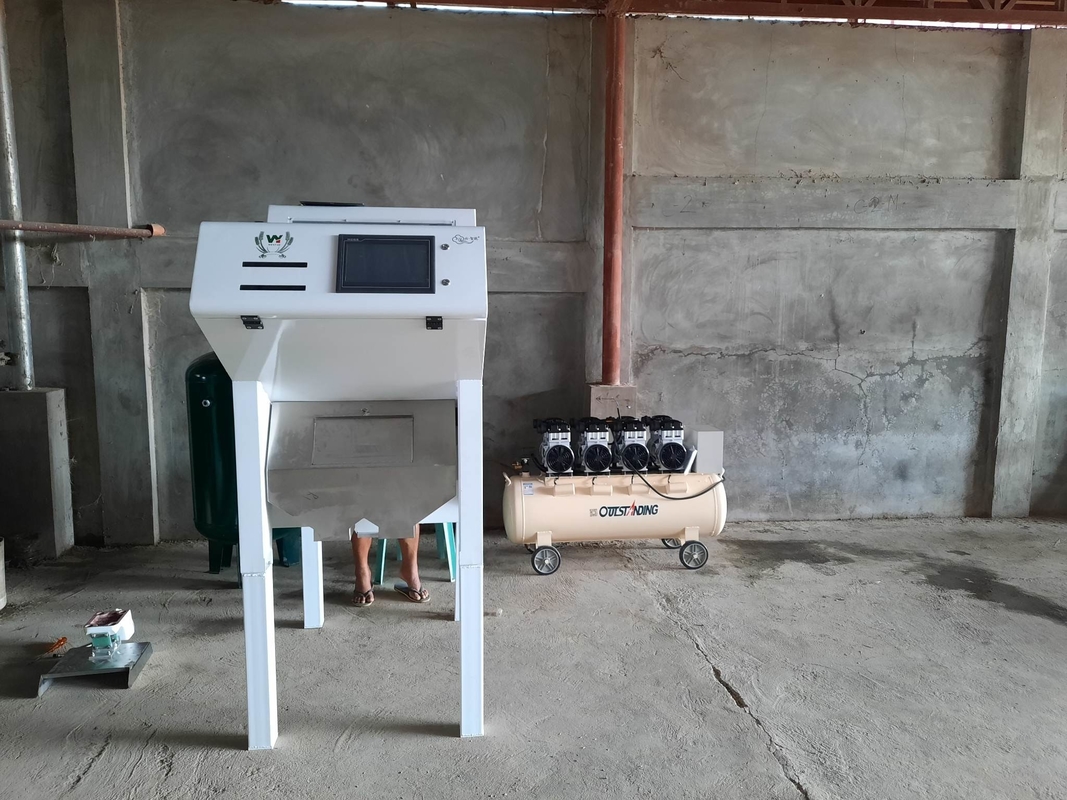 1 cassaforte 64 canali CCD Camera Giunipere Cardamomo Color Sorting Machine Con CE Con Wi-Fi telecomando
