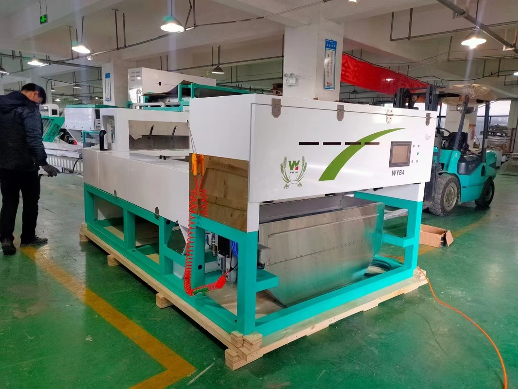 Alta precisione Intelligente WYB4 cintura Aglio Color Sorting Machine con Wifi telecomando con certificato CE