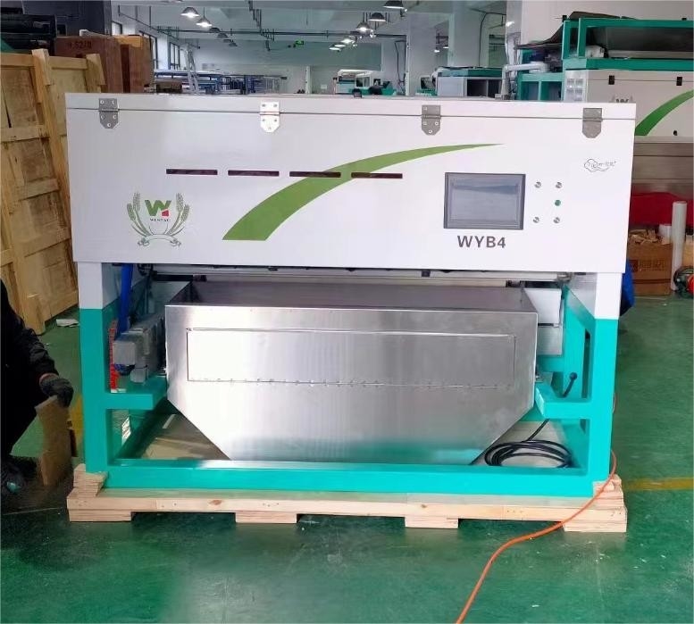Alta precisione Intelligente WYB4 cintura Aglio Color Sorting Machine con Wifi telecomando con certificato CE