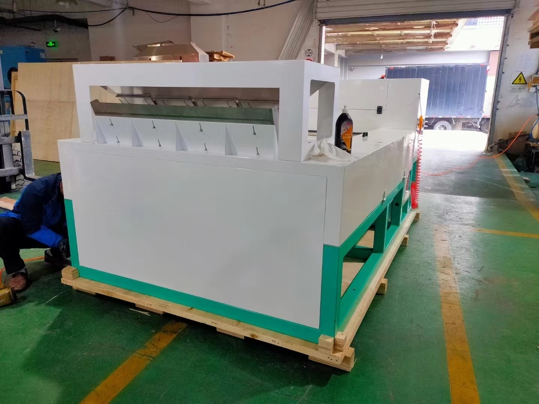 Alta precisione Intelligente WYB4 cintura Aglio Color Sorting Machine con Wifi telecomando con certificato CE