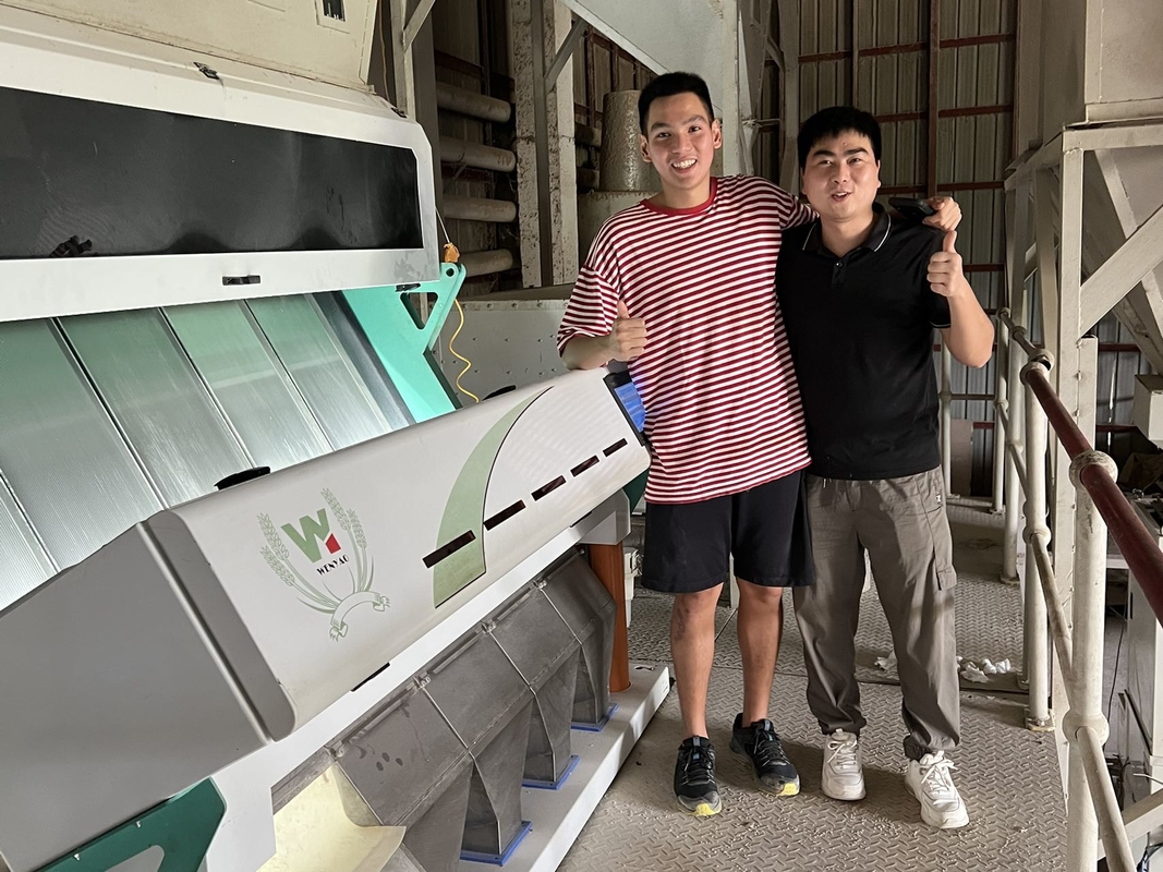 5 scariche Moldy Wheat Color Sorting Machine Rimuovendo il mildew del grano Optical Grain Color Sorting For Wheat Grader Separator