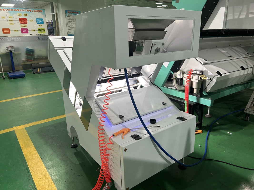 America FPGA Processing Chip Optical Candlenut Color Sorting Machine per la classificazione delle spezie