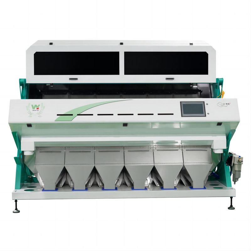 WENYAO ABS PP PE PVC Machine di riciclaggio AI tecnologia Color Sorting Machine plastica
