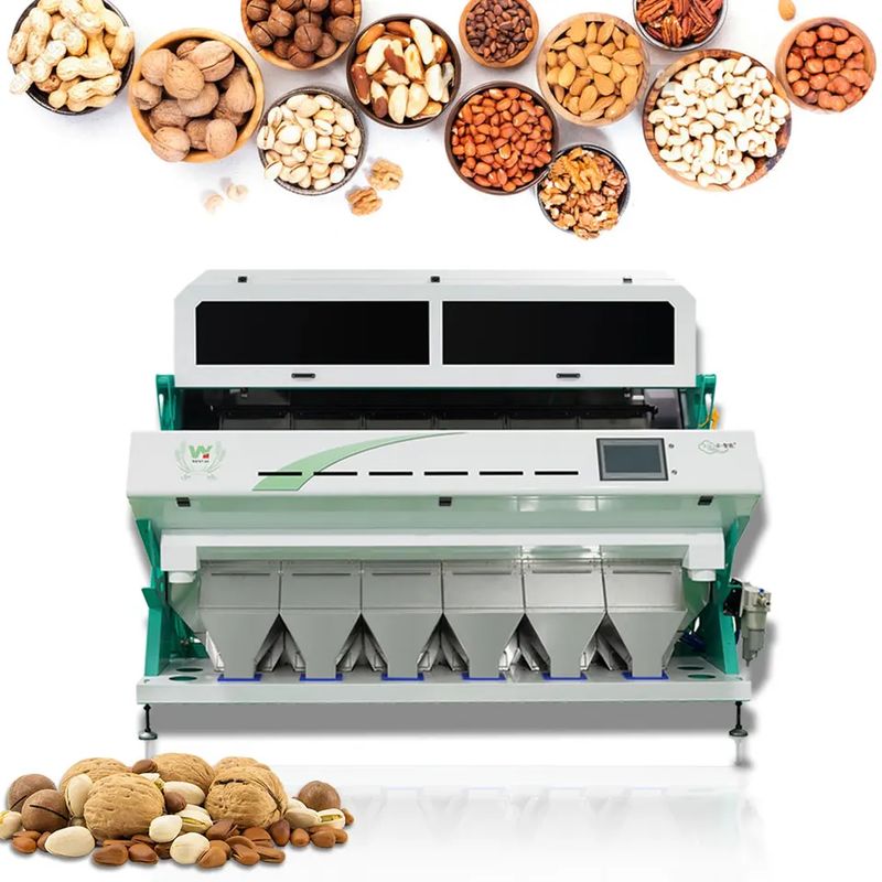 WENYAO Macchina per la classificazione dei chicchi di caffè AI Color & Shape Sorter 99,99% Accuratezza 2500-8000kg/h Capacità Alta purezza Garanzia di 2 anni