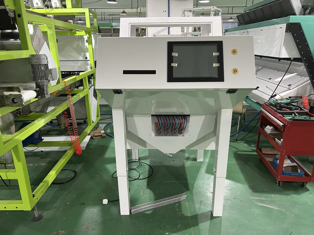 America Intelligent Chip Garlic Color Sorting Machine con luce a LED nelle migliori condizioni