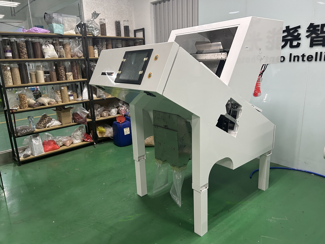 America Intelligent Chip Garlic Color Sorting Machine con luce a LED nelle migliori condizioni
