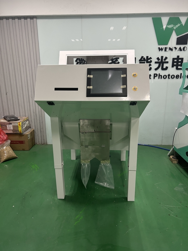 America Intelligent Chip Garlic Color Sorting Machine con luce a LED nelle migliori condizioni