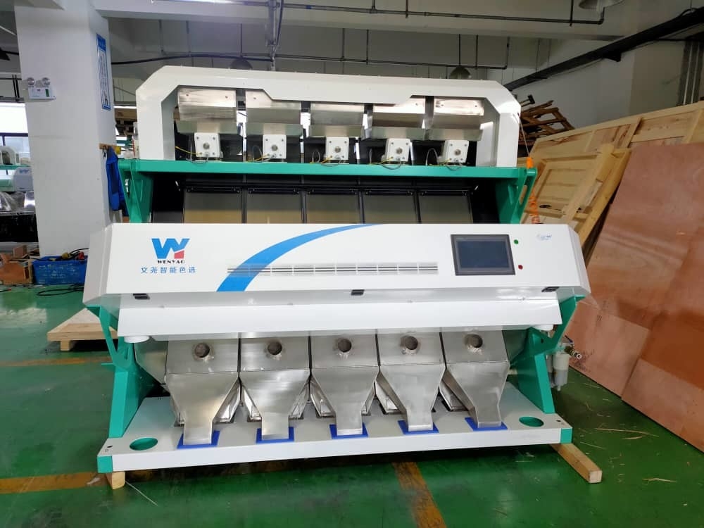America Intelligent Chip WYCS5-320 Wheat Color Sorter 0,6-2,5 tonnellate/ora Macchina di Sorting