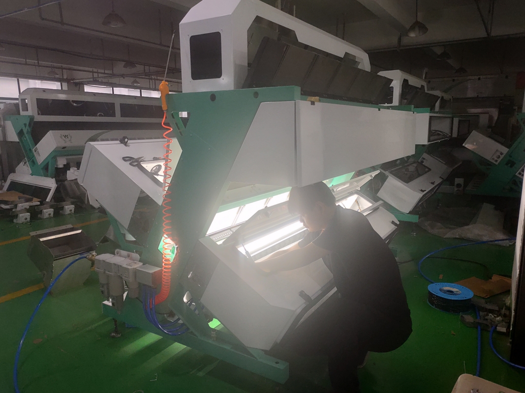 America Intelligent Chip WYCS5-320 Wheat Color Sorter 0,6-2,5 tonnellate/ora Macchina di Sorting
