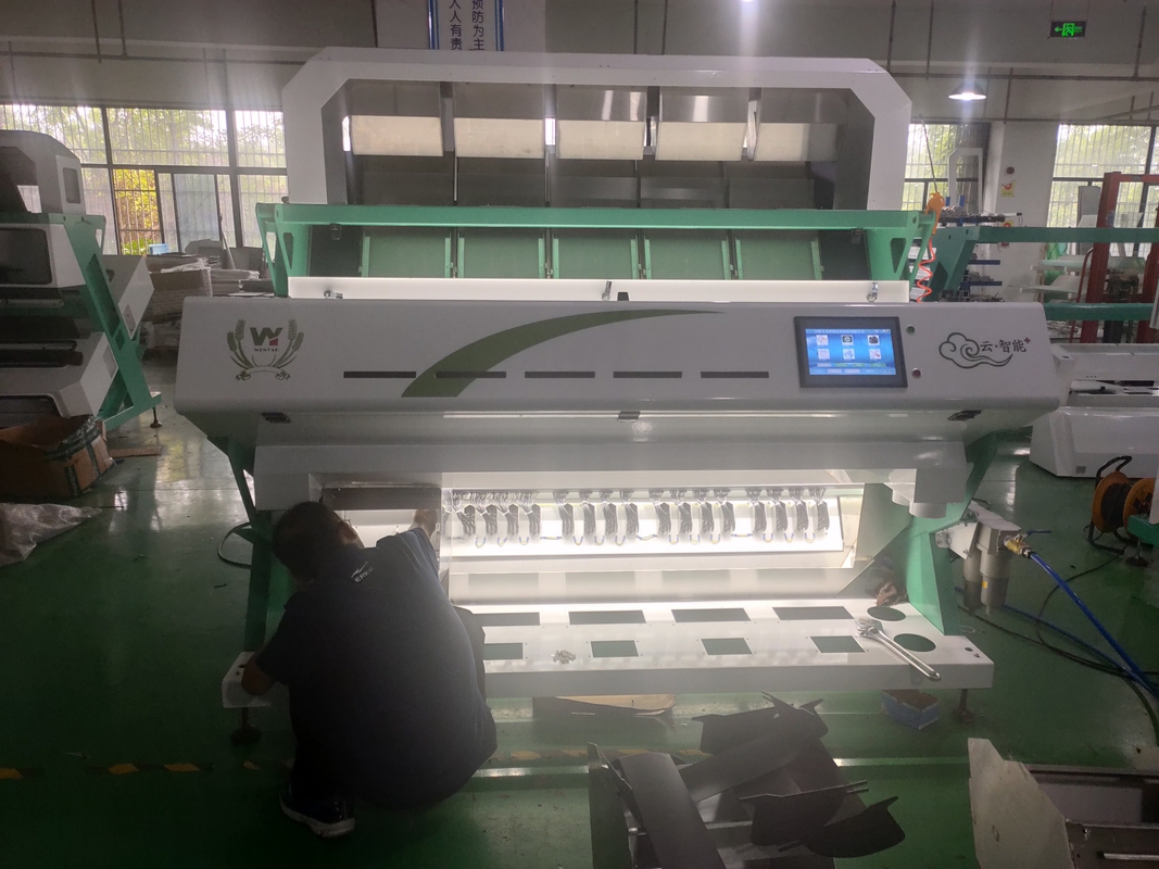 America Intelligent Chip WYCS5-320 Wheat Color Sorter 0,6-2,5 tonnellate/ora Macchina di Sorting