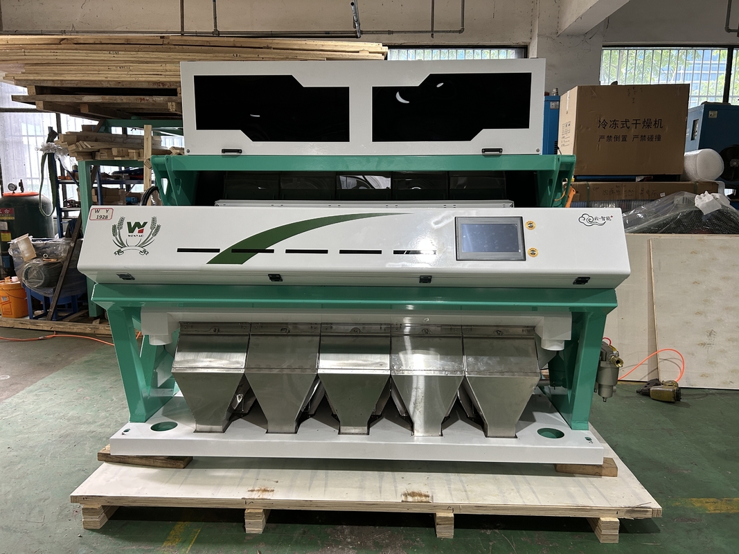 America Intelligent Chip WYCS5-320 Wheat Color Sorter 0,6-2,5 tonnellate/ora Macchina di Sorting