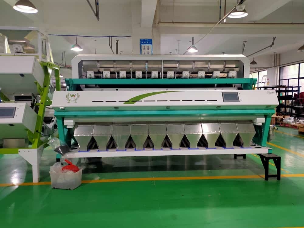 Precisione Wenyao Color Sorter WYCS10-640 Facile funzionamento 99,9% Tecnologia di chip di classificazione di precisione