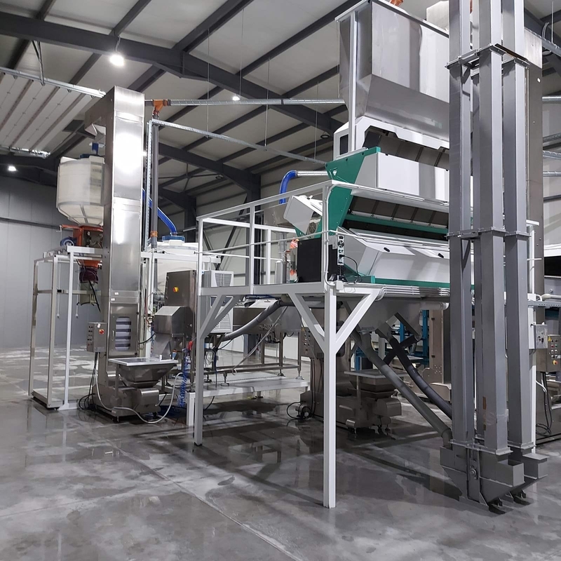 Macchine di lavorazione agricola Sortitore ottico intelligente per eliminare il rigetto dell'imputità