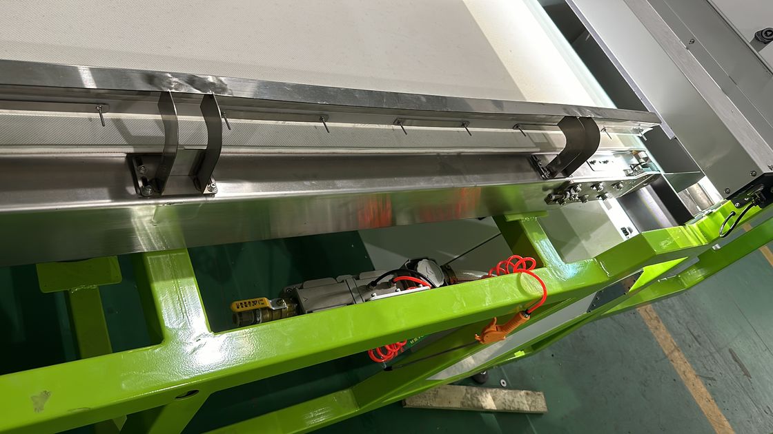 Sortitore di colori di verdura Sortitore di colori di frutta Aglio